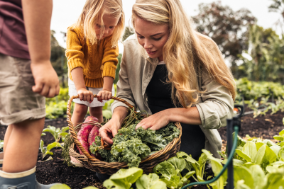 Plan Your Vegetable Patch with Our Ultimate Guide to Companion Planting