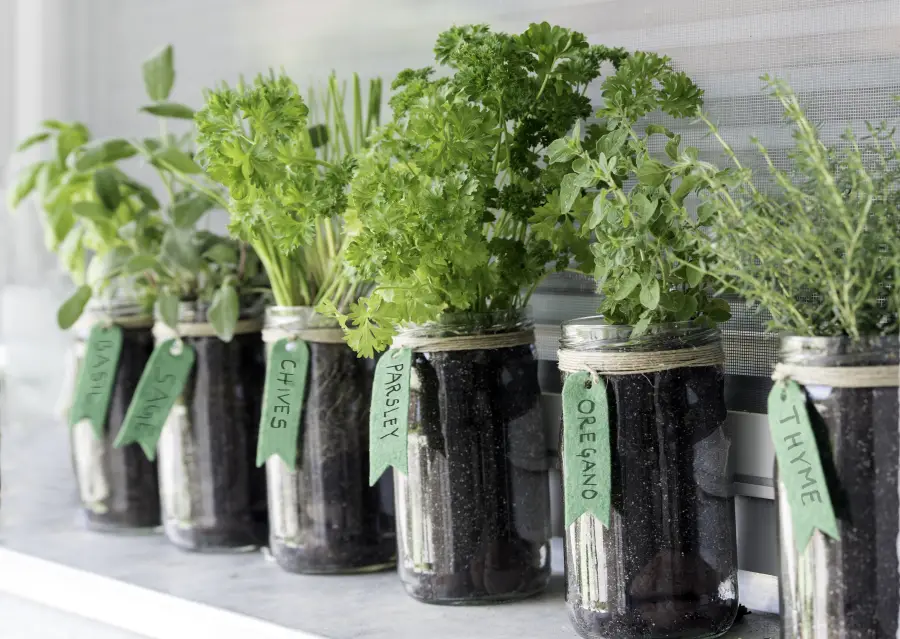 Creative Uses for Mason Jars