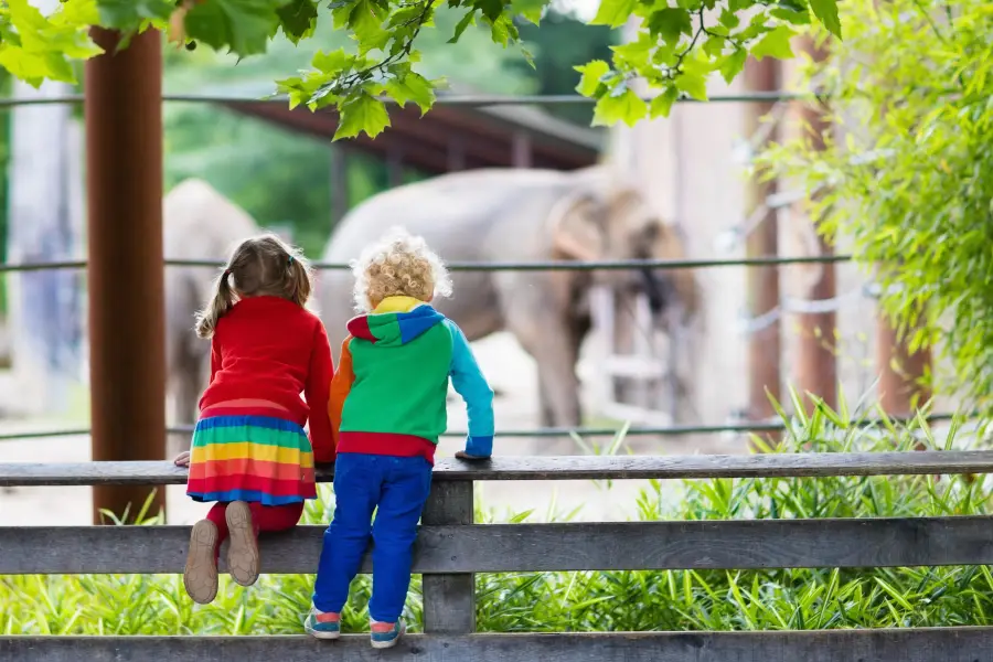 8 Tips on Saving Money at the Zoo