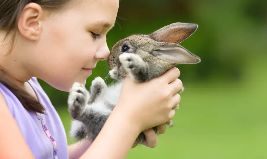 How to Teach Your Children to Be Gentle With Animals