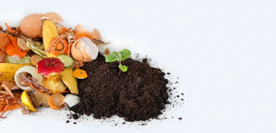 A Beginner's Guide to Composting