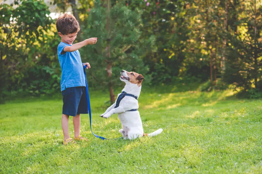 How to Teach Young Children to Behave Around Dogs